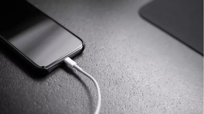 Ilustrasi charger (sumber: suara.com)