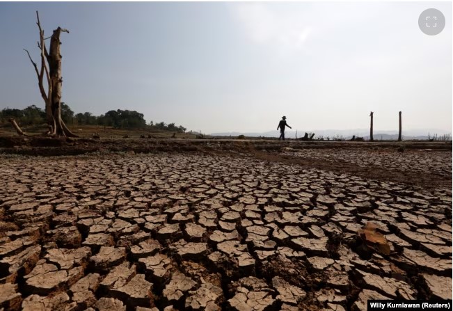 Seorang pria berjalan di dekat lahan kering yang sebelumnya terendam di Waduk Jatigede tetapi kini mengering di Sumedang, Jawa Barat, 15 September 2018. (Foto: REUTERS/Willy Kurniawan)