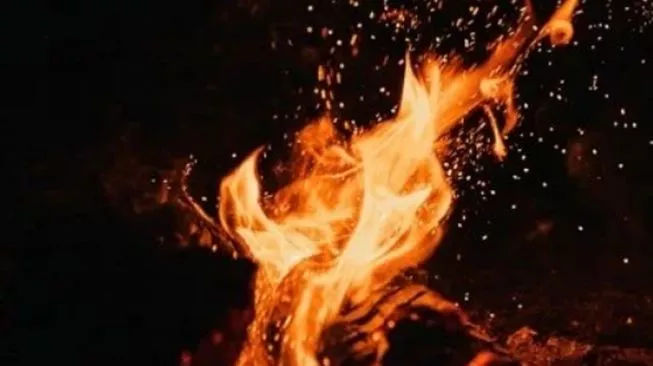 ilustrasi kebakaran. Sumber foto : suara.com