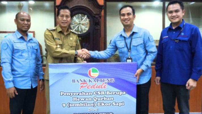 Penyerahan secara simbolis 9 sekor sapi qurban dari PT Bank Kalteng Cabang Muara Teweh kepada Pj Bupati Barut Drs Muhlis di  ruang kerja bupati Barito Utara, Selasa (11/6/2024).Foto:Delia/1tulah.com