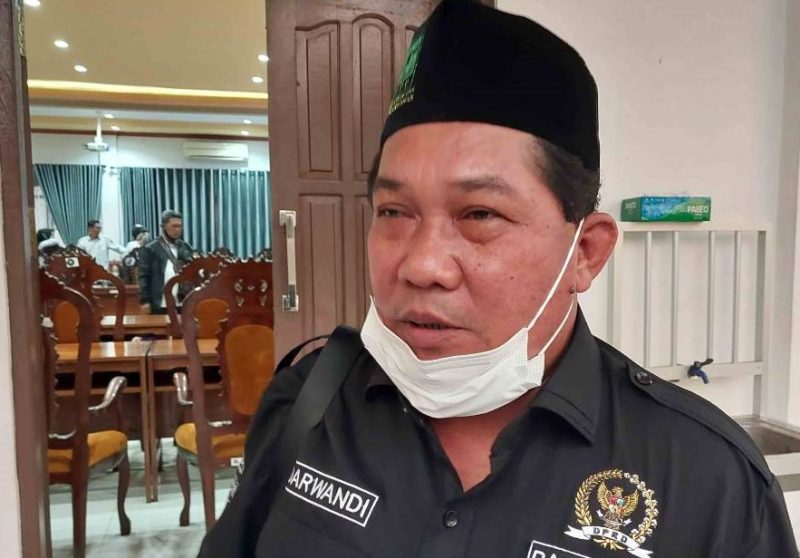 Anggota DPRD Kapuas, Darwandie. Foto: Istimewa