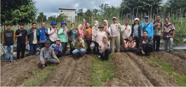 Dinas Pertanian Barito Utara, BPP Kecamatan  Teweh Baru dan Teweh Selatan beserta jajarannya, pengawas pertanian dan kelompok Tani Pusaka Bura Kelurahan Jinggah panen bersama tomat. Foto:Delia/1tulah.com

