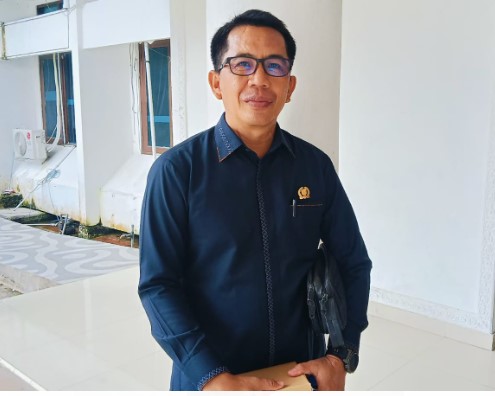 Ideham, Anggota DPRD Kabupaten Barsel. Foto. Alifansyah/1tulah.com