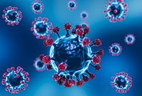 Virus West Nile mewabah di Israel! (foto: freepik)