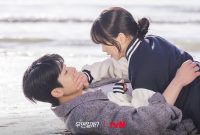 Spoiler drama Serendipitys Embrace. (foto: tvN)