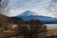 Ilustrasi Gunung Fuji Jepang (Pixabay.com/olivergotting)