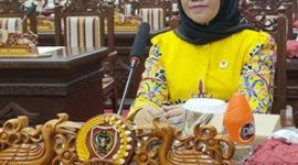 Politisi Partai Golkar di  DPRD Kalimantan Tengah, Siti Nafsiah. Foto:Dok/1tulah.com