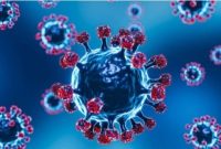 Ilustrasi virus (Freepik.com/freepik)