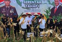 Pemerintah Kabupaten Barito Utara (Pemkab Barut), melalui Dinas Pertanian setempat menghadiri kegiatan Panen Jagung Serentak Tahap I yang diinisiasi oleh Polres Barut, Rabu, 26 Februari 2025. Foto: Diskominfosandi Barut