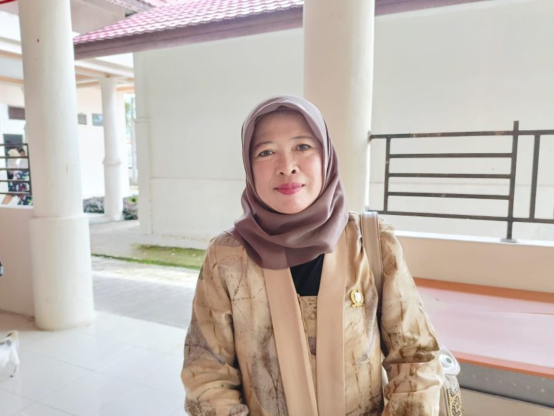 Nurul Hikmah Anggota DPRD Kabupaten Barsel. Foto:Alifansyah/1tulah.com