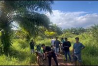 HMI Tanah Laut (Tala) dan Laung Kuning Banjar PAC Jorong, serta sejumlah aktivis setempat turun ke lokasi cek lahan plasma PT Kintap Jaya Wattindo (KJW). Foto: HMI Tala