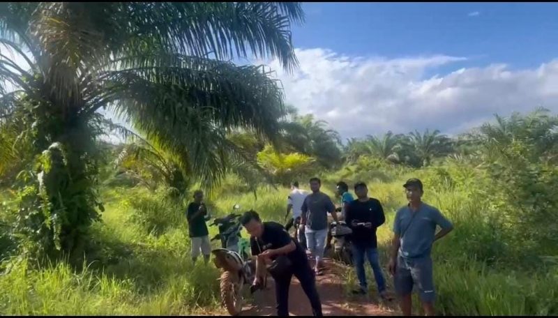 HMI Tanah Laut (Tala) dan Laung Kuning Banjar PAC Jorong, serta sejumlah aktivis setempat turun ke lokasi cek lahan plasma PT Kintap Jaya Wattindo (KJW). Foto: HMI Tala