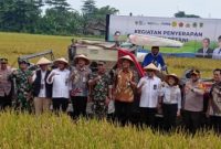 Jajaran Perum Bulog, PCO, serta TNI-Polri saat memantau panen raya di Kabupaten Klaten, Jawa Tengah. (Dok: Suara.com/ Restu Fadilah)