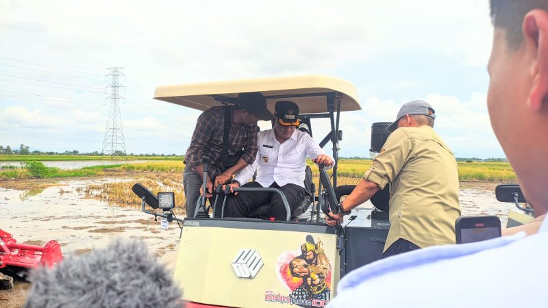 Bupati Tanah Laut (Tala), Kalsel, H Rahmat Trianto memimpin panen raya padi serentak se-kabupaten di lahan Optimalisasi Lahan (Oplah) 2025 yang dipusatkan di Desa Handil Babirik, Kecamatan Bumi Makmur, pada, Rabu, 9 April 2025. Foto: MC Tala
