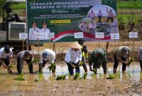 Presiden Republik Indonesia, Prabowo Subianto, memimpin langsung kegiatan tanam padi serentak secara nasional di 14 provinsi, dengan lokasi utama di Sumatera Selatan, sementara sejumlah daerah lainnya, termasuk Kabupaten Tanah Laut (Tala), mengikuti prosesi tersebut secara virtual, pada Rabu, 23 April 2025. Foto: MC Tala