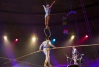 Ilustrasi pemarin sirkus - Sejarah Sirkus OCI Taman Safari (freepik)