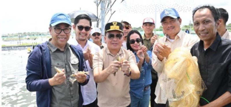 Sekretaris Komisi III DPRD Kalteng Bryan Iskandar (dua kiri) bersama Gubernur Kalteng H Agustiar Sabran, Kepala Bapperida Kalteng Leonard S Ampung, Bupati Sukamara Masduki dan pejabat lainnya saat memanen udang vaname di Kuala Jelai Kabupaten Sukamara, Jumat (4/4/2025).Foto:Ist.