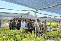 Wakil Menteri Lingkungan Hidup dan Kehutanan (Wamen LHK) Sulaiman Umar, melakukan kunjungan kerja ke Persemaian Permanen Liang Anggang yang terletak di Jalan Manuntung, Kota Banjarbaru, Kalimantan Selatan, pada Minggu, 4 Mei 2025. Foto: MC Tala