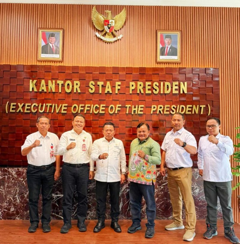 Ketua DPRD Kabupaten Kapuas, Kalimantan Tengah, Ardiansah