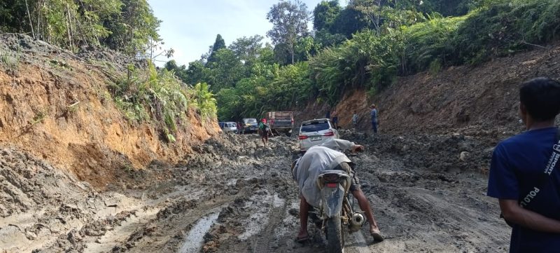 Legislator DPRD Kapuas Kusmanto Minta Perhatian Serius untuk Perbaikan Jalan Rusak di Desa Buhut Jaya