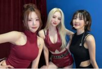 Dreamcatcher UAU (X/ hf_dreamcatcher)