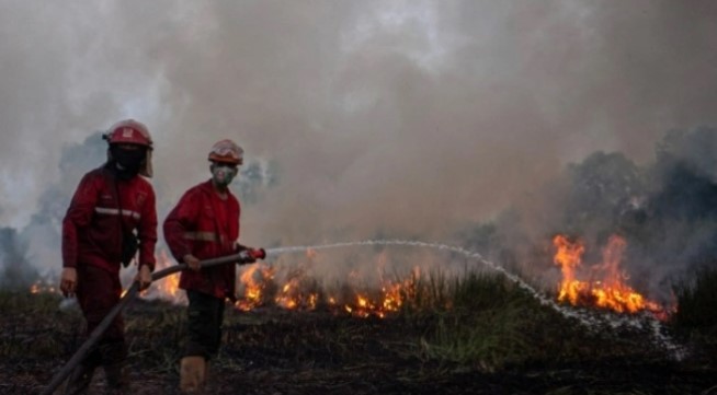 Ilustrasi Karhutla (Antara)