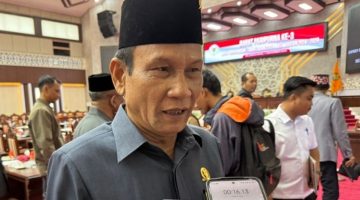 Ketua DPRD Kalimantan Tengah, Arton S. Dohong. Foto:Istimewa