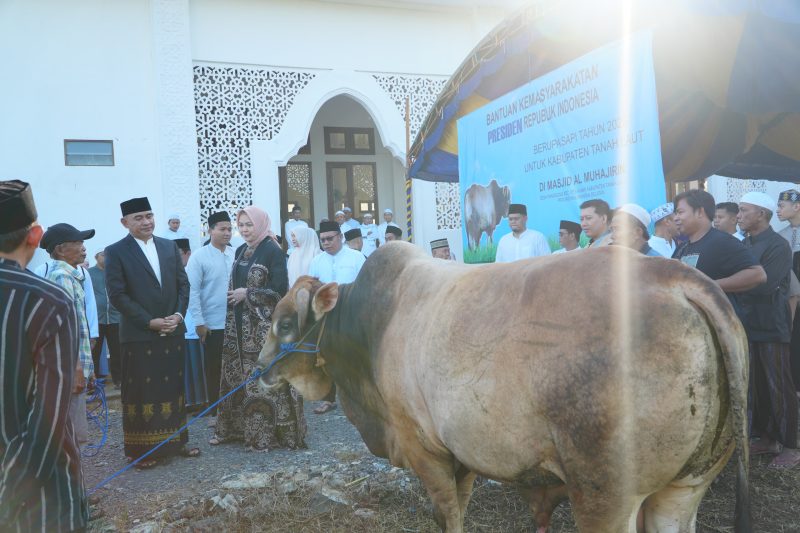 Usai menunaikan Salat Iduladha, Bupati H Rahmat Trianto secara simbolis menyerahkan 1 ekor sapi kurban jenis Brahman seberat sekitar 1 ton bantuan Presiden Prabowo kepada pengurus Masjid Al-Muhajirin, Jumat, 6 Juni 2025. Foto: N Lutfi Ashidiqi/1tulah.com