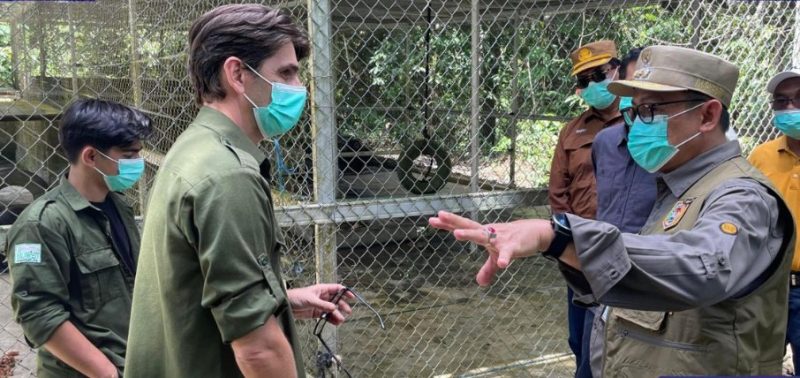 Penjabat (Pj) Bupati Barito Utara (Barut), Kalimantan Tengah, Indra Gunawan, bersama Sekda Muhlis dan jajaran kepala perangkat daerah melakukan kunjungan kerja (kunker) ke Yayasan Kalaweit Indonesia yang berada di kawasan Hutan Pararawen, Teweh Tengah, Sabtu, 21 Juni 2025. Foto: Diskominfosandi Barut