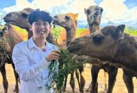 Willie Salim kurban unta [Instagram/@willie27_]