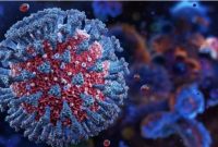 Ilustrasi Virus Corona Varian Nimbus [Ciputra Hospital]