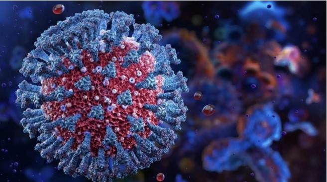 Ilustrasi Virus Corona Varian Nimbus [Ciputra Hospital]