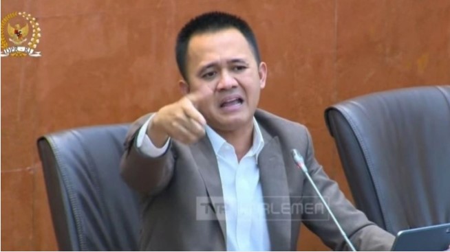 Anggota Komisi VI DPR RI fraksi PDIP, Mufti Anam, turut mengkritisi soal pemerintah membatalkan rencana kebijakan diskon tarif listrik 50 persen tahap kedua pada Juni-Juli 2025. (tangkap layar)