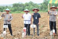 Wakil Bupati Tanah Laut (Tala), H Muhammad Zazuli, menghadiri kegiatan Penanaman Jagung Serentak Kuartal III dan Penanaman Jagung di Lahan Perhutanan Sosial yang dilaksanakan oleh Polda Kalsel di Desa Sabuhur, Kecamatan Jorong, pada Rabu, 9 Juli 2025. Foto: MC Tala