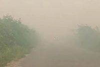 Jarak pandang jalan di Rokan Hilir yang hanya beberapa meter akibat tertutup kabut asap karhutla, Sabtu (19/7/2025). [Dok Riauonline]