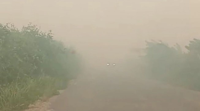 Jarak pandang jalan di Rokan Hilir yang hanya beberapa meter akibat tertutup kabut asap karhutla, Sabtu (19/7/2025). [Dok Riauonline]