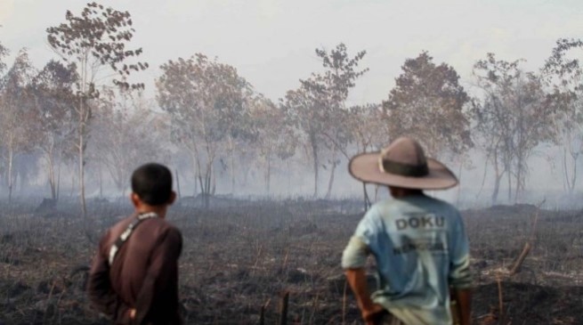 Sejumlah warga melihat lahan yang terbakar di kawasan lahan gambut Desa Deuah, Kecamatan Samatiga, Aceh Barat, Aceh, Sabtu (26/10/2024). Meskipun pihak Kepolisian Polres Aceh Barat kerap melakukan sosialisasi larangan membuka lahan dengan cara membakar, tapi pembukaan lahan baru dengan cara membakar masih sering dilakukan oleh oknum yang tidak bertanggung jawab dan berdasarkan data Pusat Pengendalian dan Operasi (Pusdalops PB) BPBD Aceh Barat luas karhutla mencapai delapan hektare. ANTARA FOTO/Syifa Yulinnas/nym.