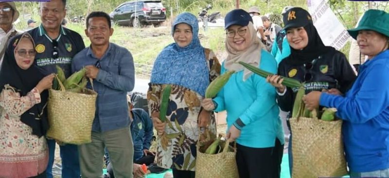 Pemkab Barito Utara (Barut), Kalteng, melalui Dinas Pertanian setempat menggelar kegiatan tanam cabai rawit dan cabai besar bersama Tim Penggerak PKK, di lahan pertanian Kelompok Tani Sumber Makmur, Desa Trinsing, Kecamatan Teweh Selatan, Sabtu, 2 Agustus 2025. Foto: Diskominfosandi Barut