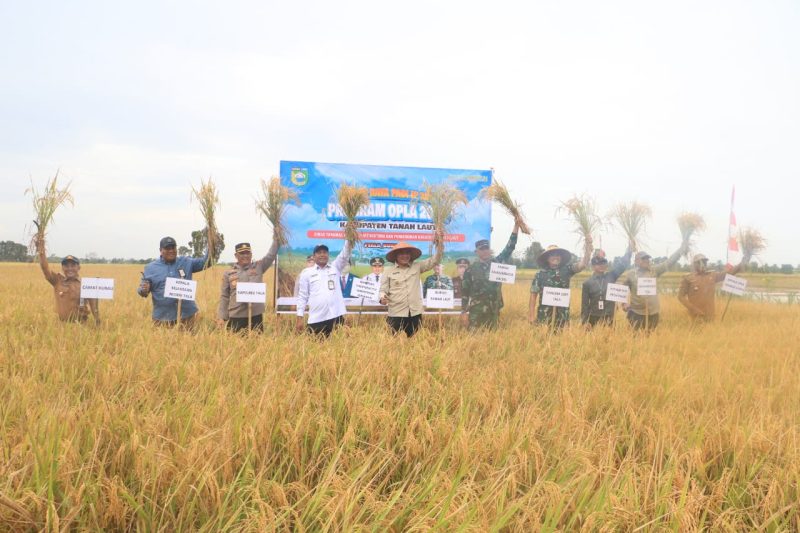 Model percontohan menggabungkan pemanfaatan teknologi modern dengan manajemen pertanian yang efisien, diharapkan mampu meningkatkan hasil produksi secara signifikan, yang dilaksanakan pada Selasa, 12 Agustus 2025. Foto: M Lutfi Ashidiqi/1tulah.com