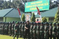 Ilustrasi pasukan TNI Angkata Darat