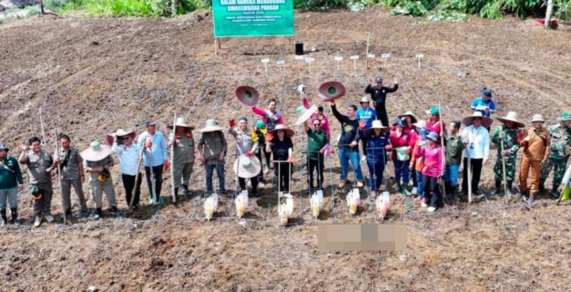 bupati Heriyus di acara penanaman jagung hibrida yang berlangsung di Kelurahan Saripoi, Kecamatan Tanah Siang, Selasa (14/10/2025).