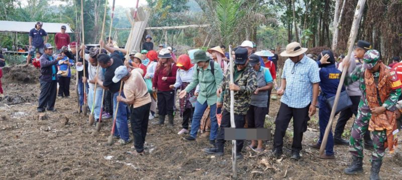 Bupati Mura Heriyus bersama jajaran Forkopimda dan stakeholder terkait melanjutkan kegiatan tanam padi gogo, di Kelurahan Saripoi, Kecamatan Tanah Siang, Selasa (14/10/2025).