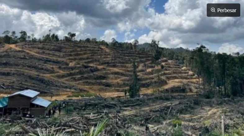 Jual beli tanah kawasan hutan lindung di Riau. [Dok Polda Riau] 
