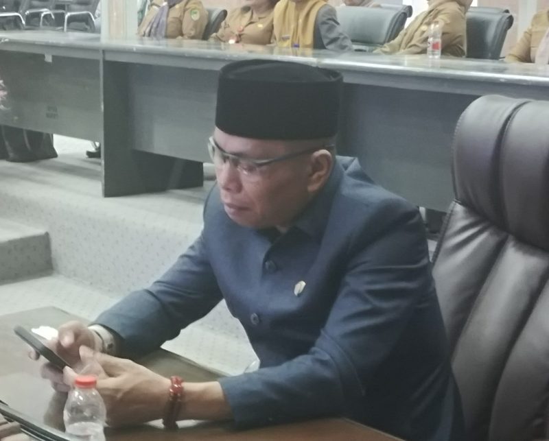 Anggota DPRD Kabupaten Barito Utara (Komisi II/Fraksi Aspirasi Rakyat/PAN) Bina Husada.(Foto : Ist)