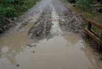 Kondisi jalan di poros Desa Beringin Raya, Teweh Tengah, Barito Utara (Barut), Kalteng, sudah cukup lama mengalami kerusakan dan berlumpur di beberapa titik ruas. Foto: Istimewa