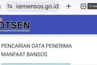 (Dok: Kemensos)