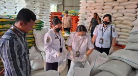 Tim Otoritas Kompeten Keamanan Pangan Daerah (OKKPD) Provinsi Kalimantan Tengah bersama petugas Perum BULOG Divre Kalteng saat melakukan pengambilan sampel dalam kegiatan pengawasan beras SPHP Kalimantan Tengah di Gudang BULOG Palangka Raya, Rabu (4/3/26).