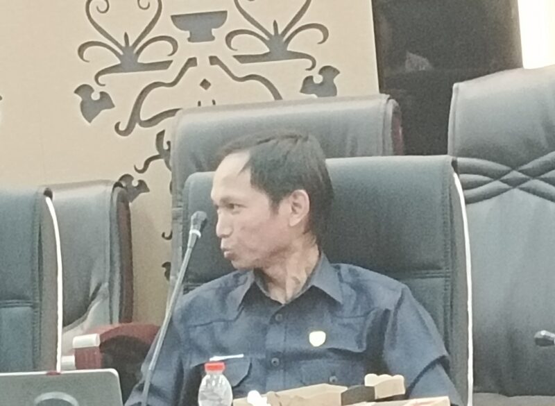 Anggota DPRD Barito Utara (Partai Demokrat) Patih Herman AB.(melki/tegaklurus.net)