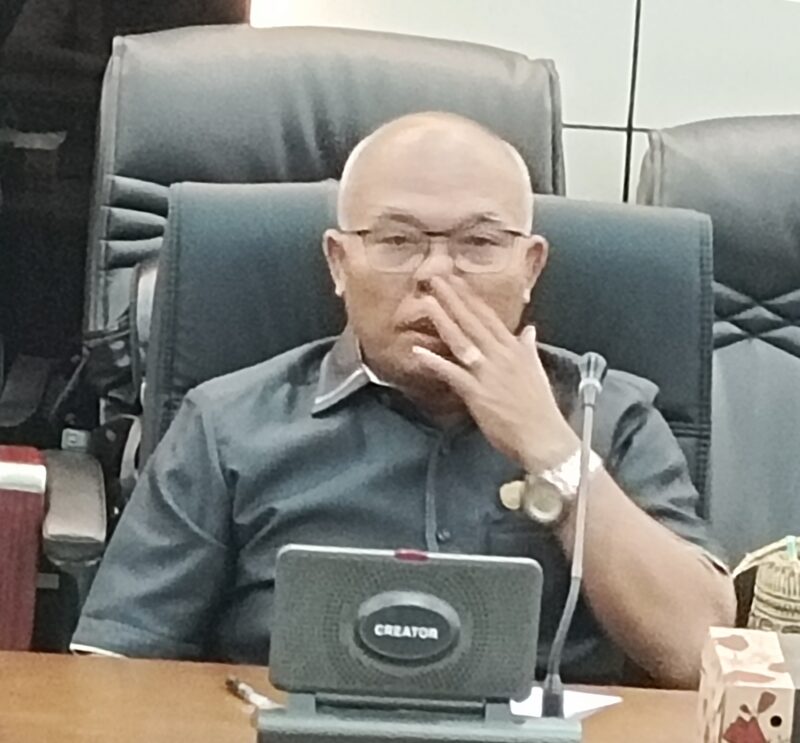 Anggota DPRD Barito Utara/PPP Gun Sriwitanto.(Foto : Dok tegaklurus.net)