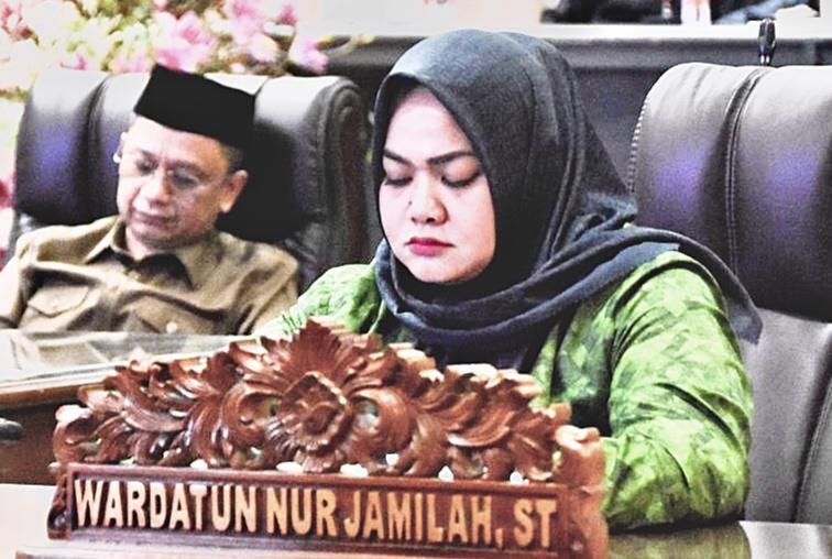 Legislator Kabupaten Barito Utara/PPP Wardatun Nur Jamilah.(dok/Setwan Barito Utara)